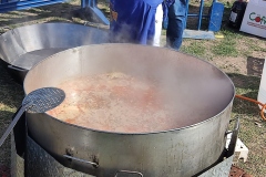 IMG_20230305_151048